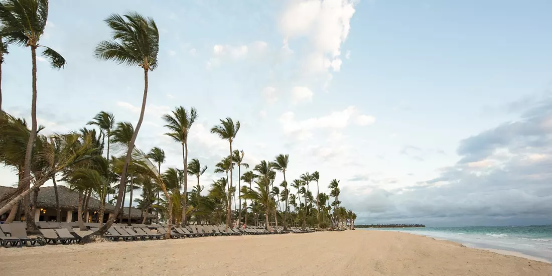 occidental-punta-cana-beach-alm-studded