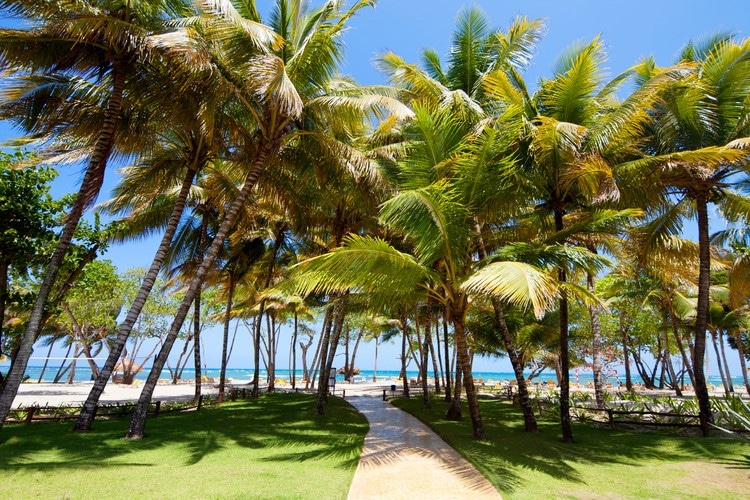 iberostar-dorado